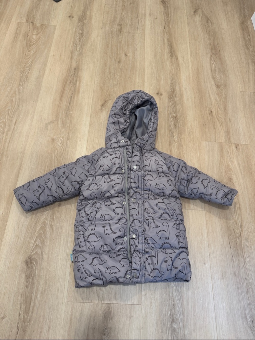 Kids Hooded Puffer Jacket in Gray with Dinosaur Print